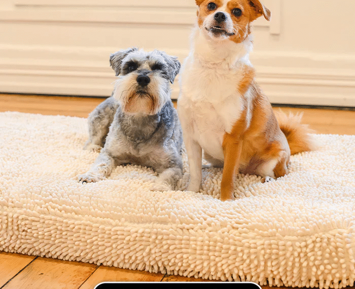 Dog Bed Orthopaedic Guide for Healthier, Happier Pets
